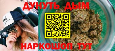 сатива Славгород
