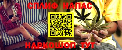 сатива Славгород