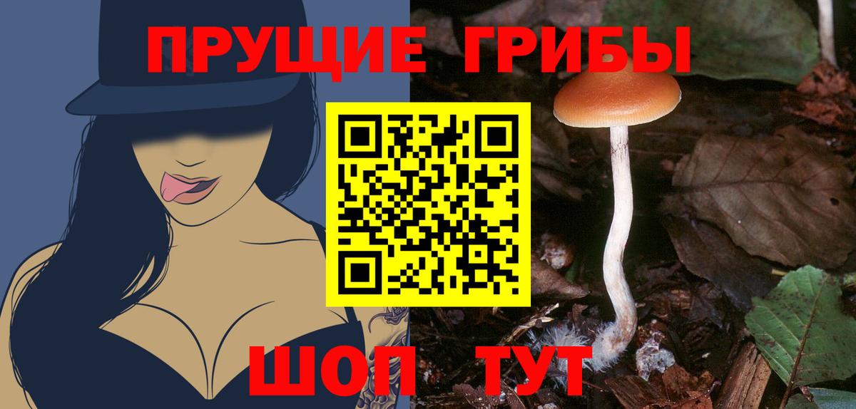 Псилоцибиновые грибы Cubensis  Вход с VPN  Нерюнгри 